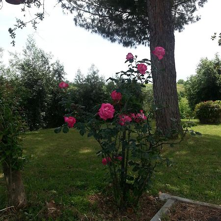 ポメツィア La Finestra Sul Cortile Bed & Breakfast エクステリア 写真