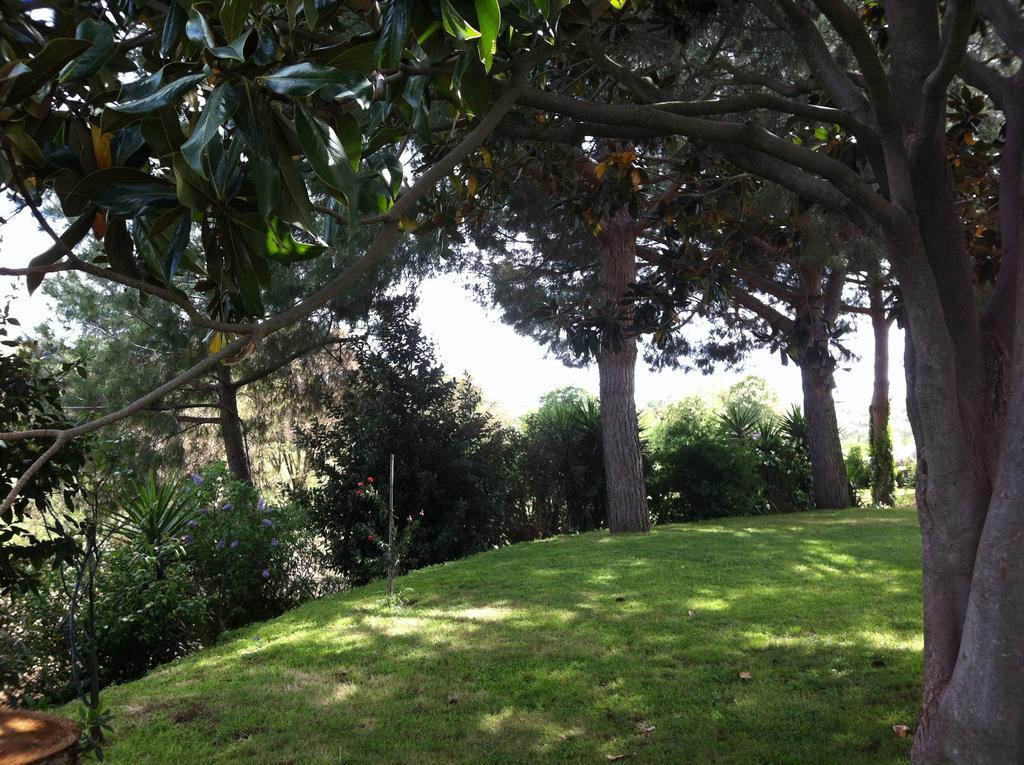 ポメツィア La Finestra Sul Cortile Bed & Breakfast エクステリア 写真