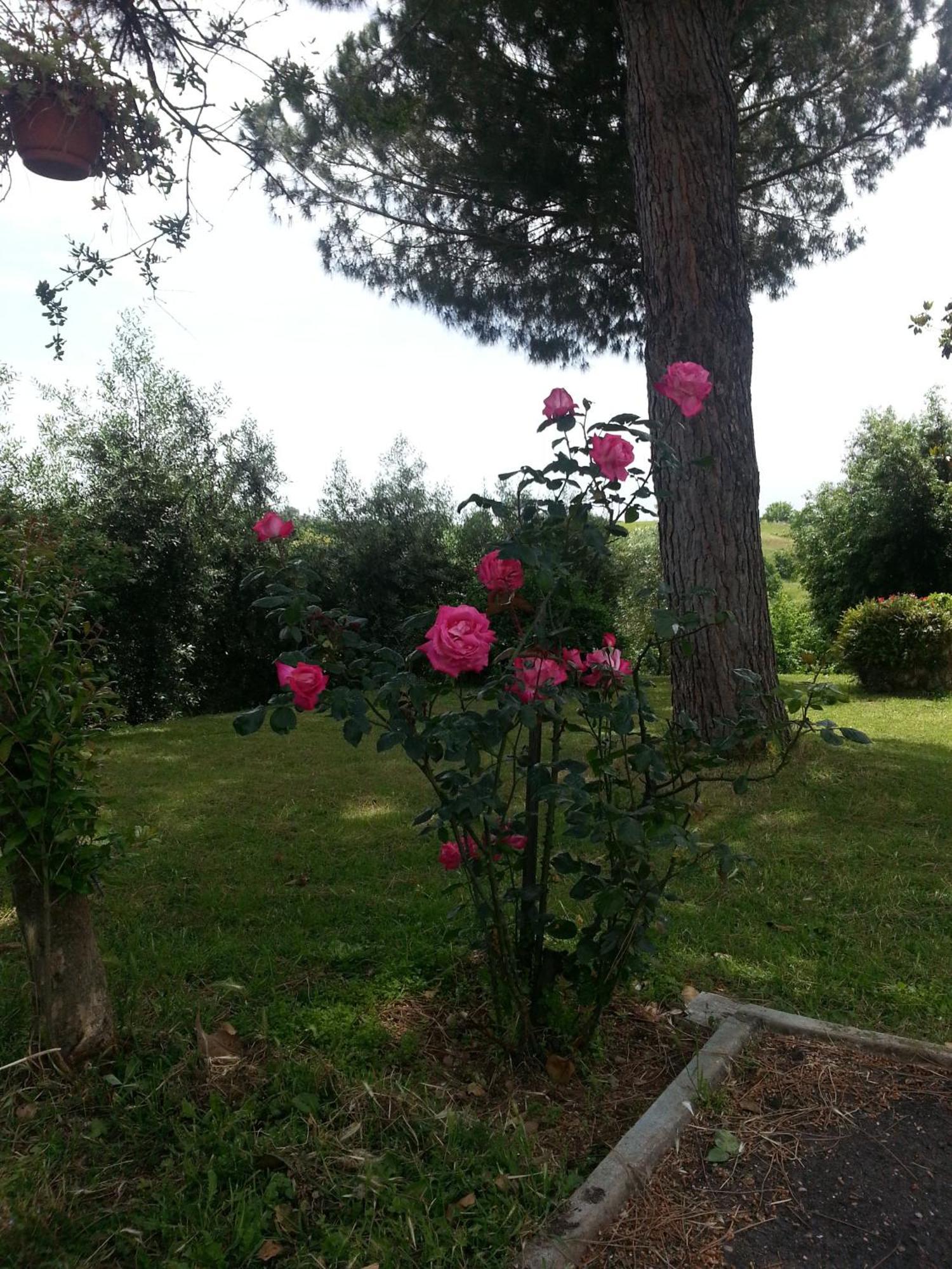ポメツィア La Finestra Sul Cortile Bed & Breakfast エクステリア 写真